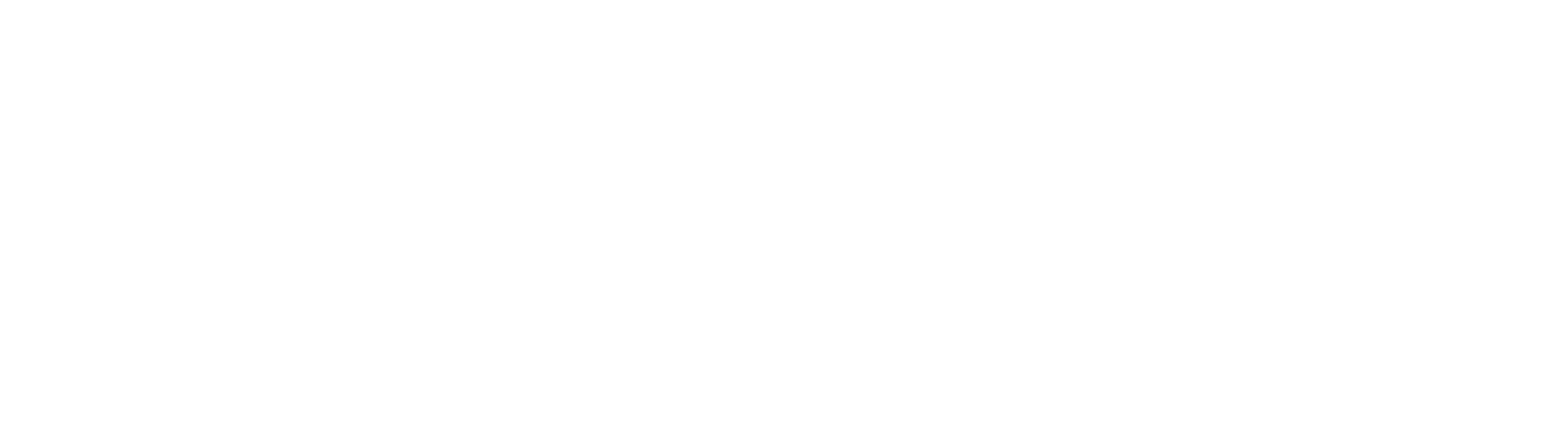 Logo Blanco Bueno @300x